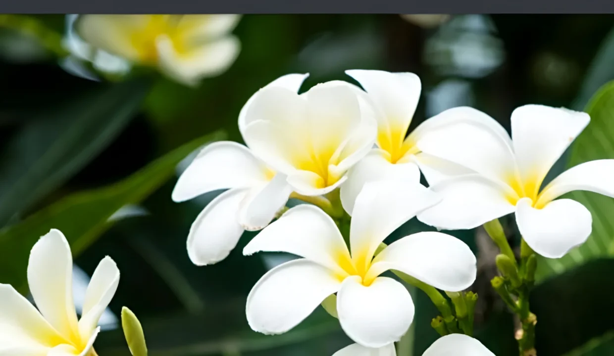 The Acres - Image 14