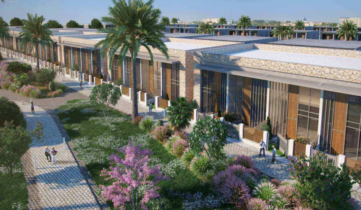Wadi Al Safa